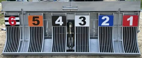 The Ultimate Guide to Greyhound Betting: Tips and Strategies for .